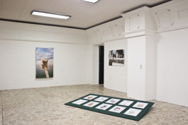 Wenzel Stählin Up for Grabs Gallerie CU Leipzig 2014