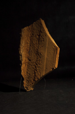 Wenzel Stählin Up for Grabs Gallerie CU Leipzig 2014