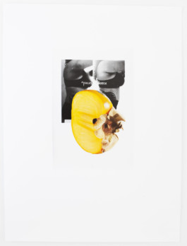 Wenzel Stählin contemporary photography