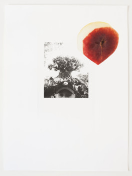 Wenzel Stählin Innen shapes works