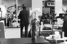 Wenzel Stählin flowers still life