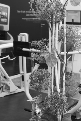 Wenzel Stählin Blumen Bilder