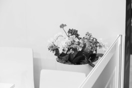 Wenzel Stählin Leipzig Blumen