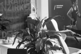 Wenzel Stählin Blumen Fitness