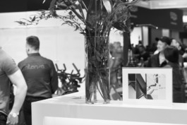 Wenzel Stählin Blumen Stilleben Wachsen