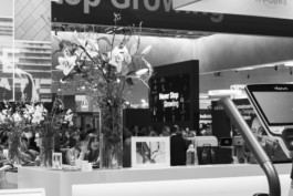 Wenzel Stählin Wachsen stilleben