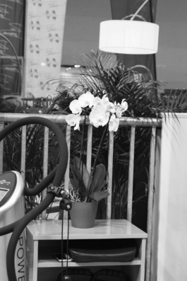 Wenzel Stählin Stilleben Fitness