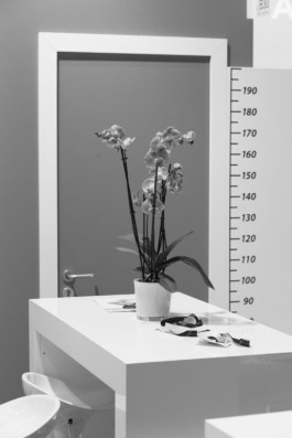 Wenzel Stählin Stilleben Fotografie