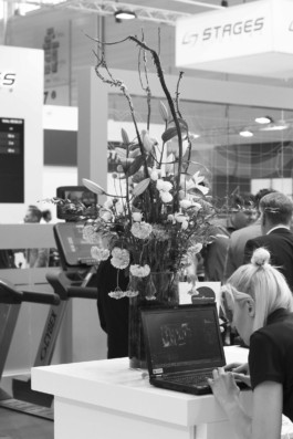 Wenzel Stählin Blumenstilleben