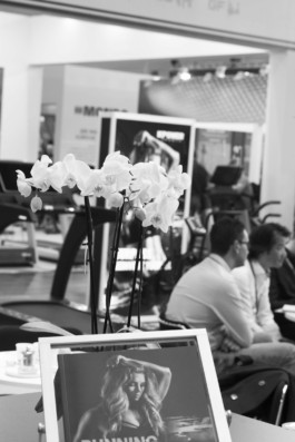 Wenzel Stählin floral still life